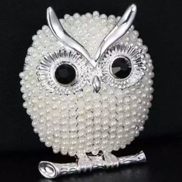 Owl pearl/rhinestone brooch.silver colored.NWT - Picture 2 of 3